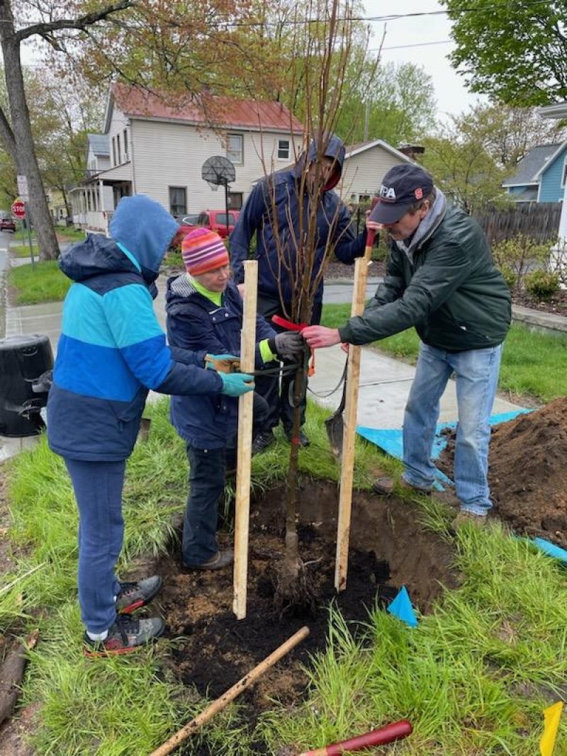 Volunteers are sought for the 10th Year Tree Toga planting event. Photo provided.