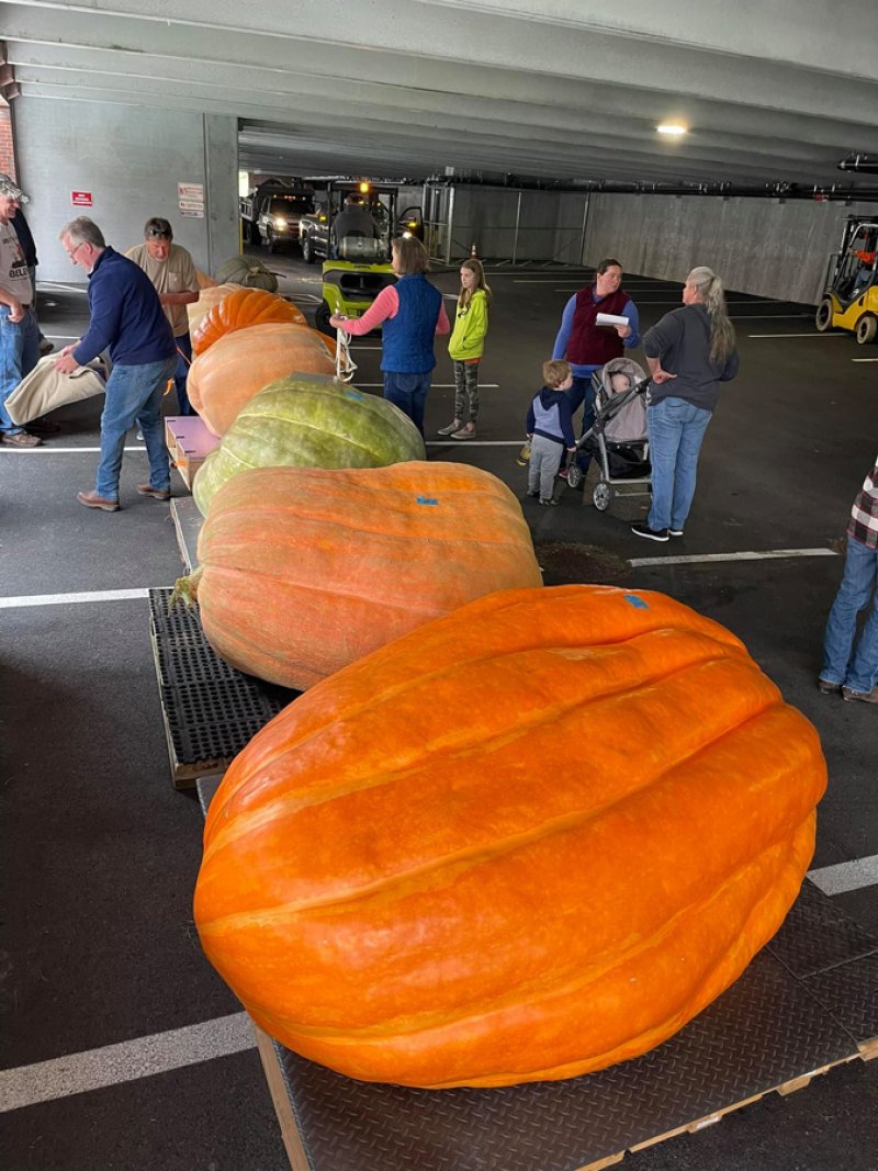 The Annual Giant Pumpkinfest in Saratoga Springs  takes place Saturday, Sept. 24. Photo provided.