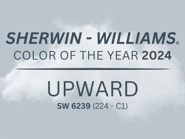 2024 Paint Color of the Year