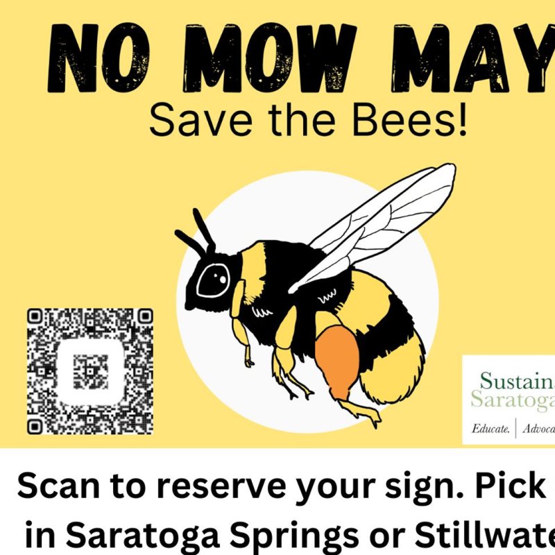 Resting lawnmowers in May to help highly at-risk pollinators.