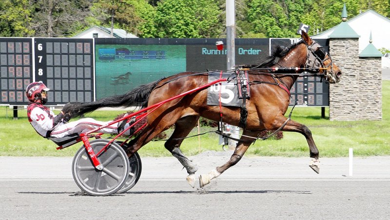 Jim Devaux was the top driver at Saratoga Harness in 2021 with 237 wins. Photo by Melissa Simser-Iovino.
