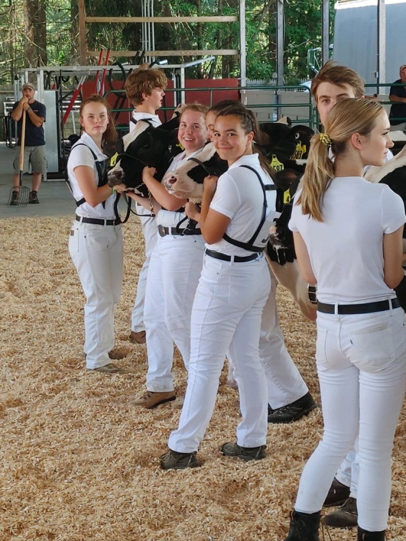 Many of top dairy youth squared off in the Dairy Show. Photo provided.