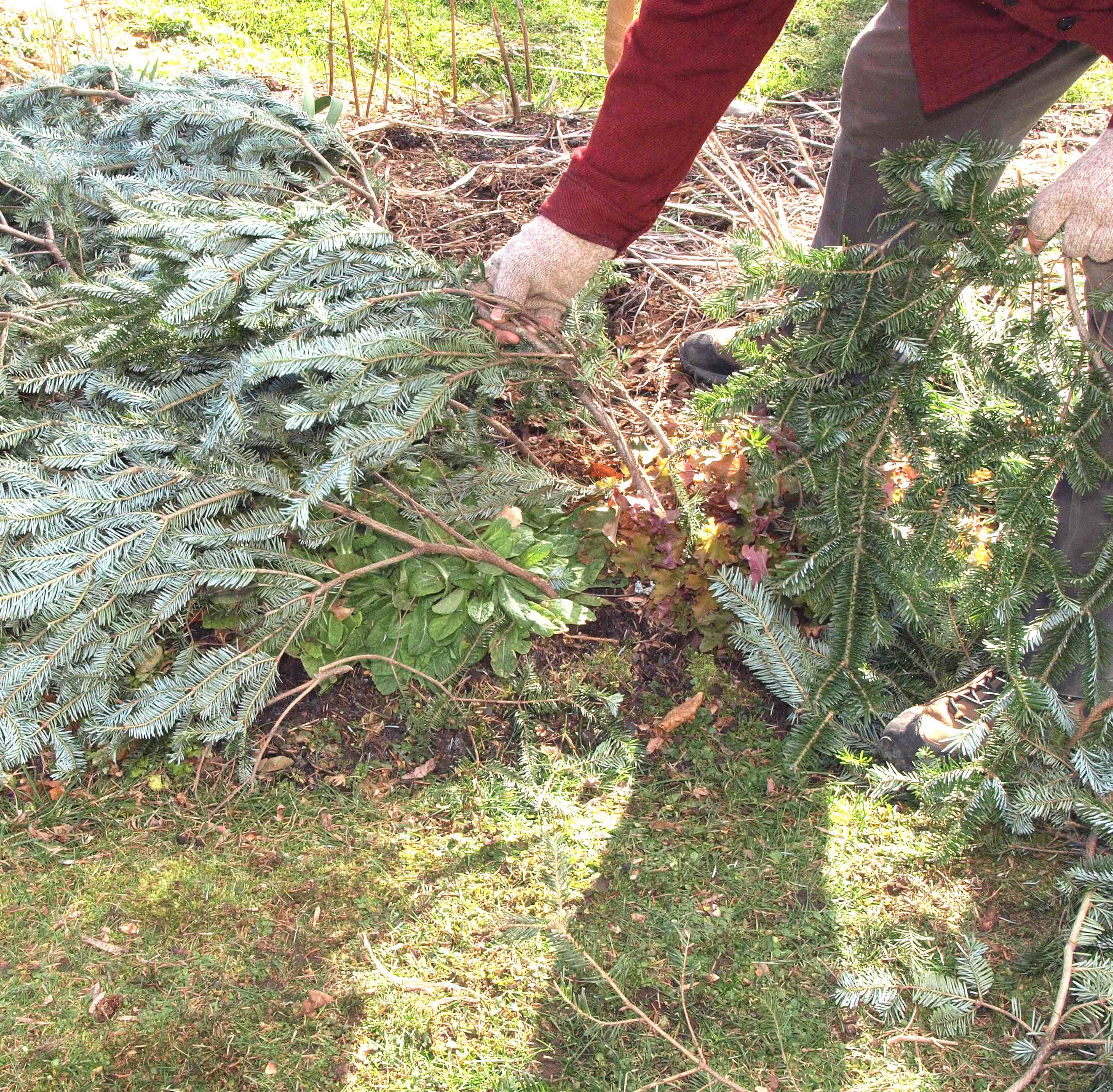 15 Layering the boughs