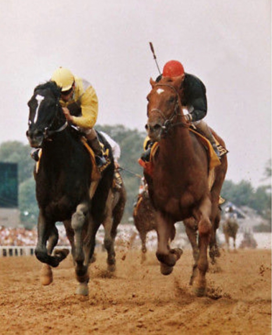 1989 Preakness Stakes.