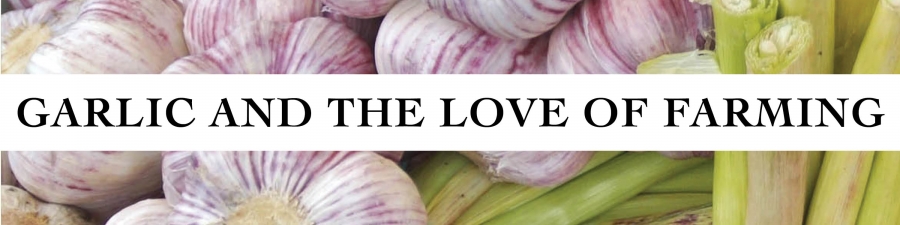 Garlic and the Love of Farming