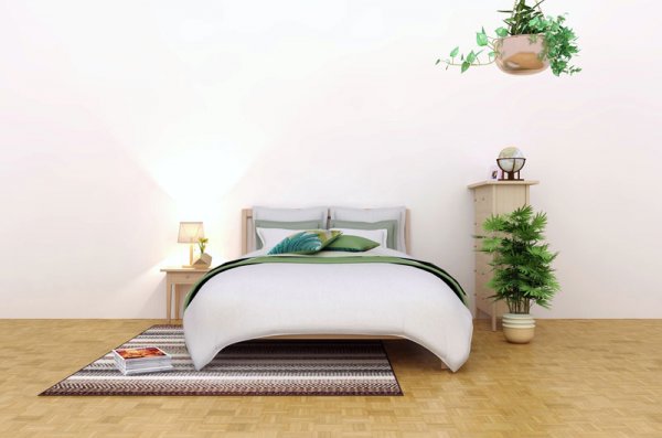 Green Sleep: 7 Sleep-Inducing, Anti-Pollutant Plants for Your Home