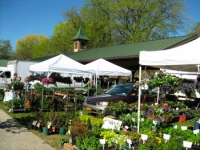 Eight Reasons to Shop at a Farmers&#039; Market