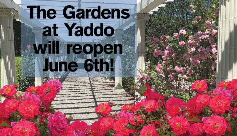 The Yaddo Gardens reopens with a special public event in June. 