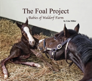 “The Foal Project” Book Signing Event