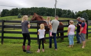 CCE Equine’s Annual Saratoga County Horse Farm Tour: Aug. 21