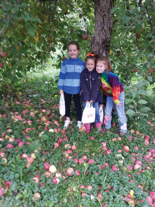Saratoga Apple Harvest Has Begun!