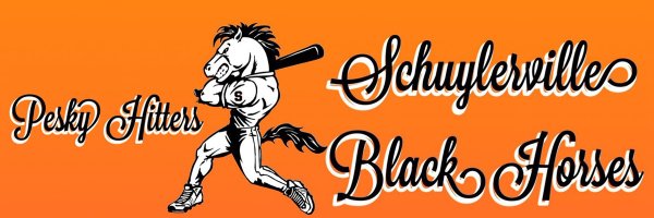 Schuylerville Black Horses baseball team graphic via @BaseballHorses X account.