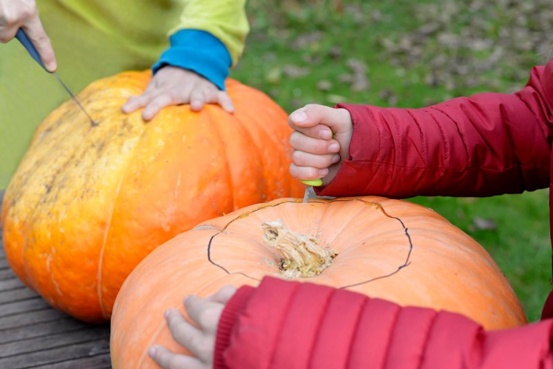 Family-Friendly Halloween Fun from the Farmers’ Market