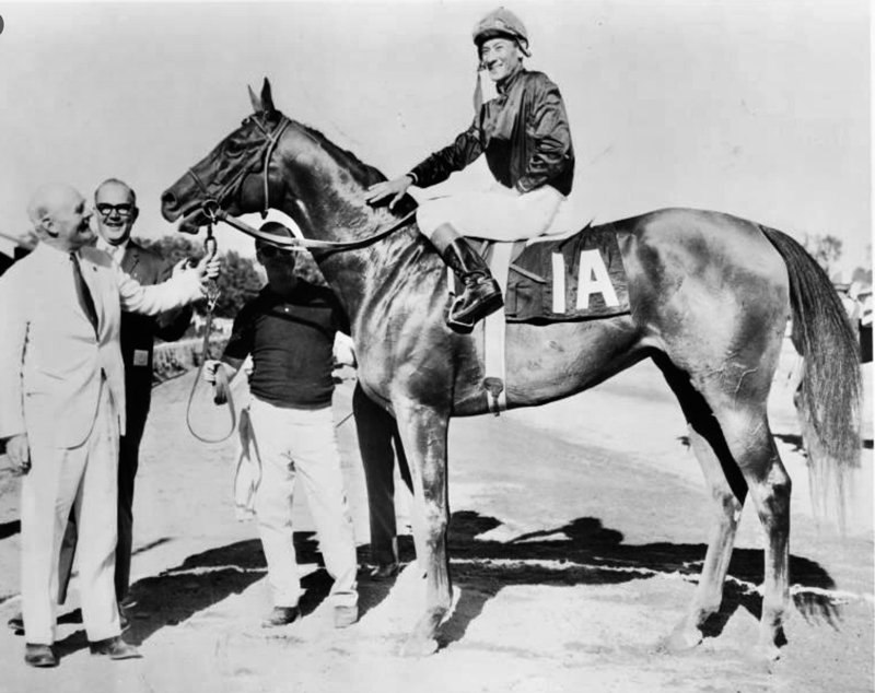 Buckpasser... Bred to be a Champion