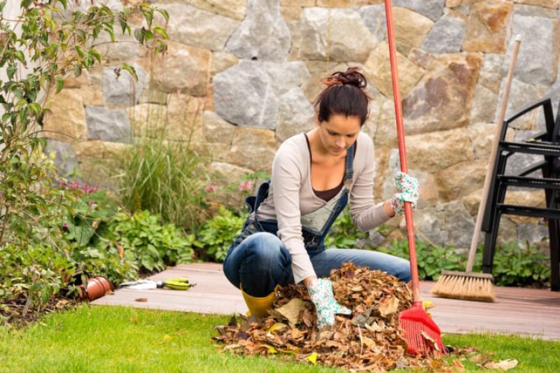 Fall Yard Clean Up Injury Prevention