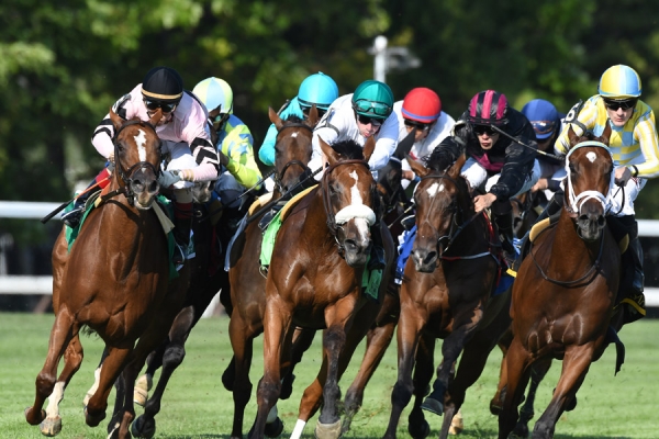 Saratoga Sets the Pieces in Motion