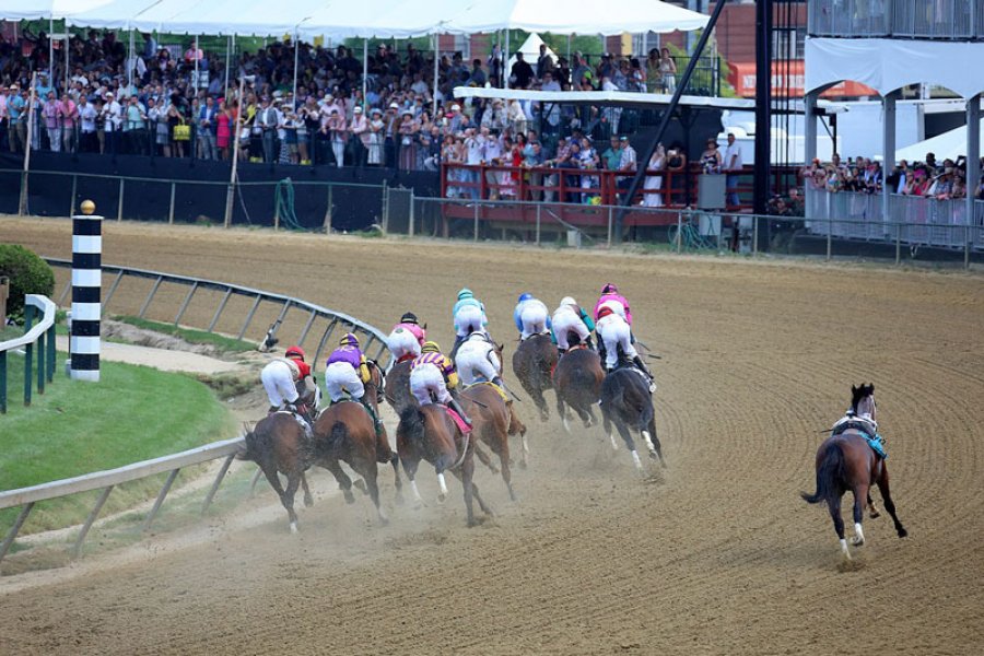 2019 Preakness Stakes: Bodexpress, riderless, on the outside. Race victor was War of Will. 