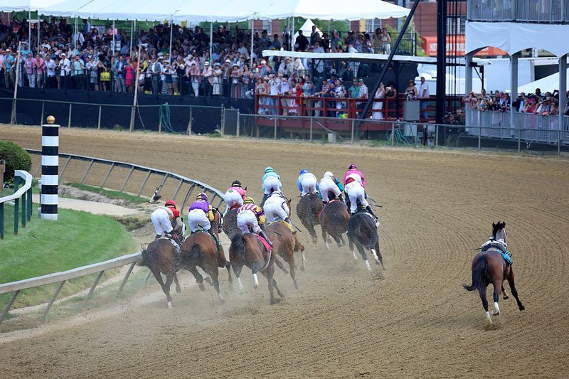 2019 Preakness Stakes: Bodexpress, riderless, on the outside. Race victor was War of Will. 