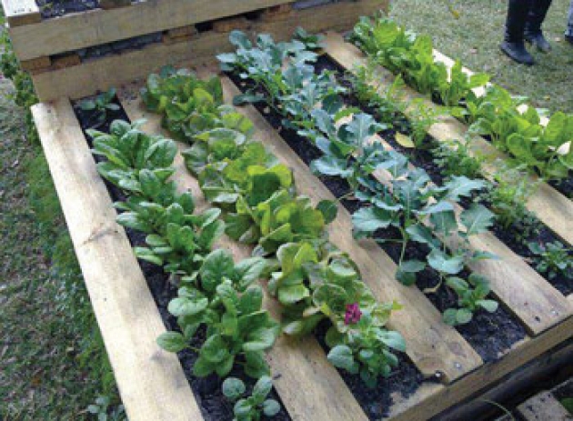 Make use of an old pallet to plant flowers and vegetables; Top right: Almost anything can be used as a container.