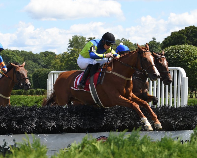 Steeplechase 2020. Photo by Susie Raisher, courtesy of NYRA.