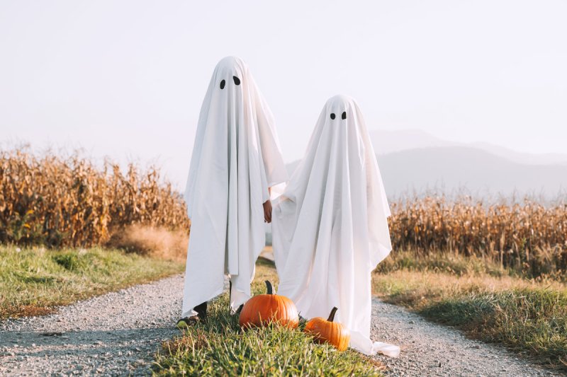 A Guide to October Mischief: Festivals, Trunk or Treats, Corn Mazes, Spooky Tours and More