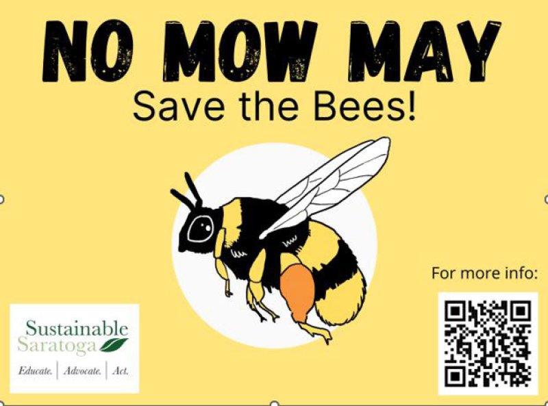 No Mow May, for the bees