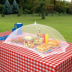 “Nothing’s better than a Picnic” - Zooey Deschanel