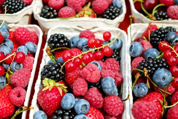 11 Places for U-Pick Strawberries &amp; Berries