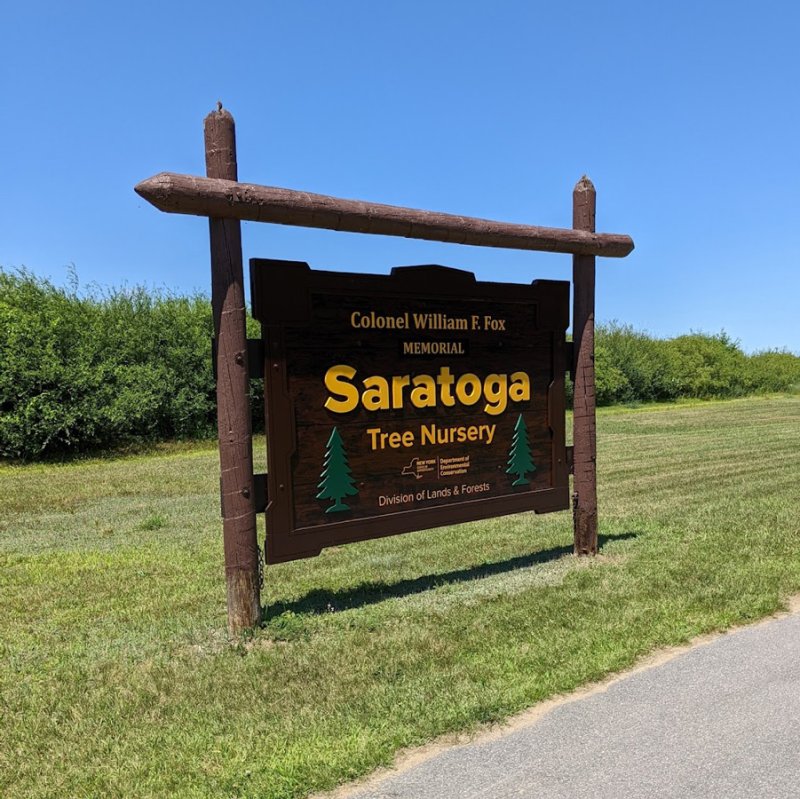 2023 Spring Seedling Sale at Saratoga Tree Nursery