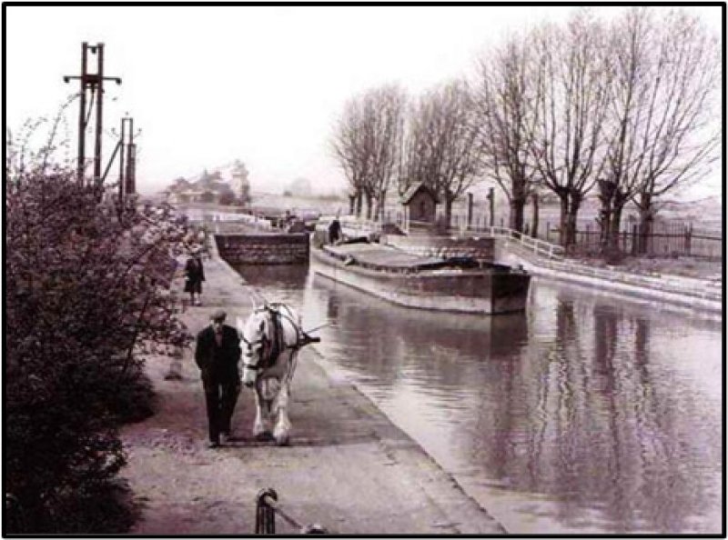 Towing boats along the Waterford canals. Photo provided by The Saratoga County History Roundtable.