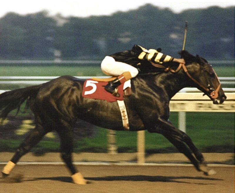 Racing Legends: A Conversation with the Owner of the Immortal Seattle Slew