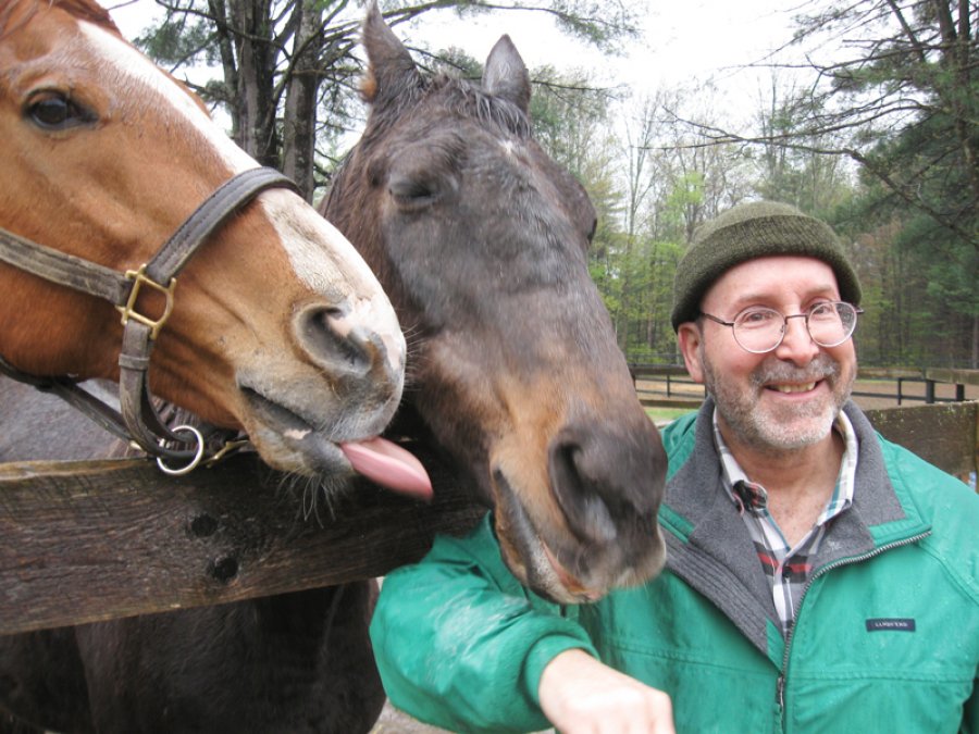 Artie, Zippy Chippy (middle), and Zippy’s best friend, Red Down South, at Old Friends at Cabin Creek. Photo provided.