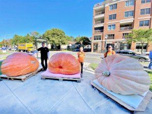 Saratoga Giant Pumpkinfest Returns