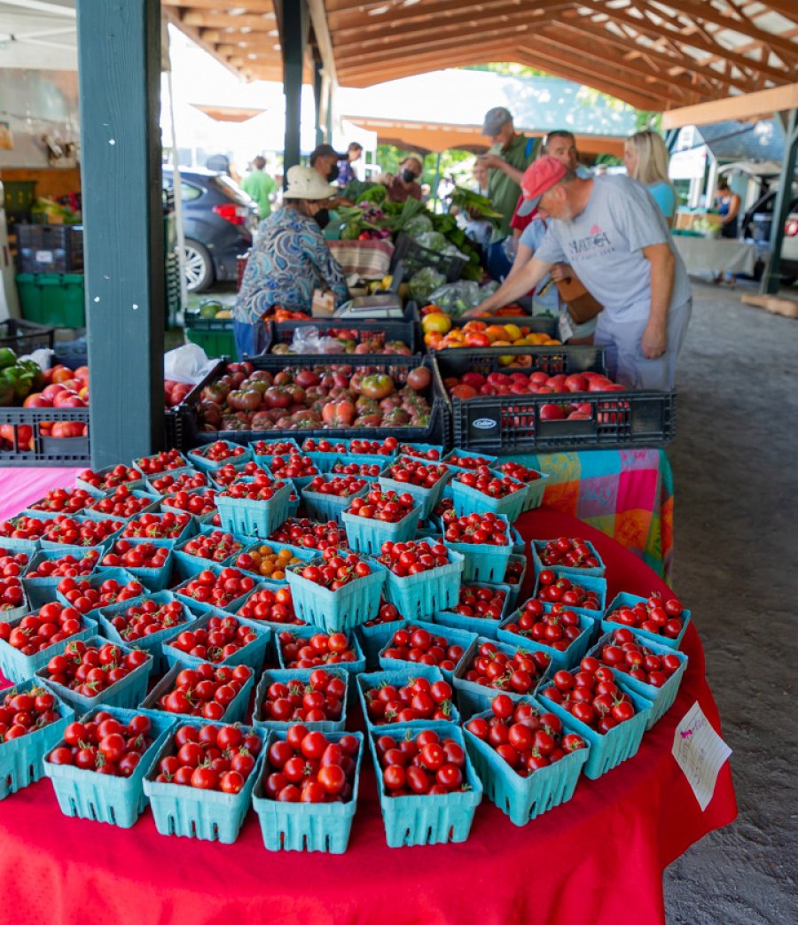 Stuffing - Shop Local, Eat Fresh at the Saratoga Farmers' Market