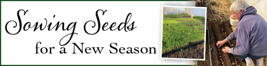Sowing Seeds for a New Season