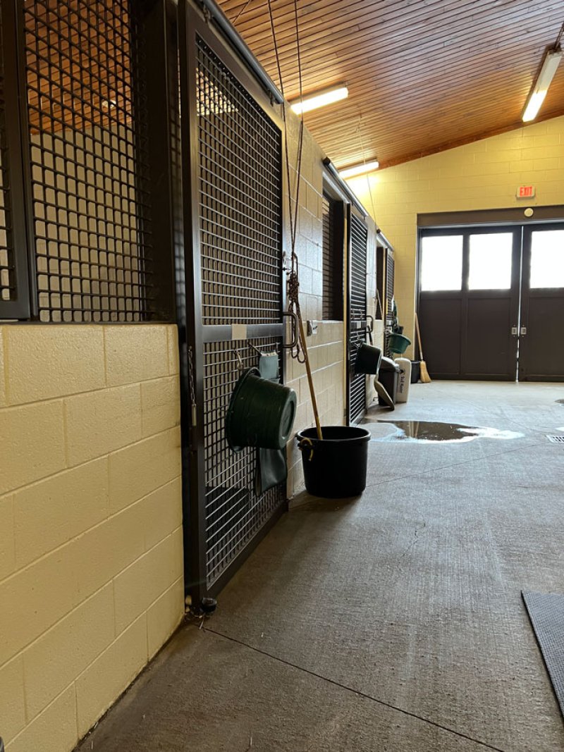 A look at the inside of an existing barn at Rood &amp; Riddle Equine Hospital. The new barn will ‘mimic’ the appearance of this barn, said practice manager Jennifer Van Alphen. Photo by Dylan McGlynn.