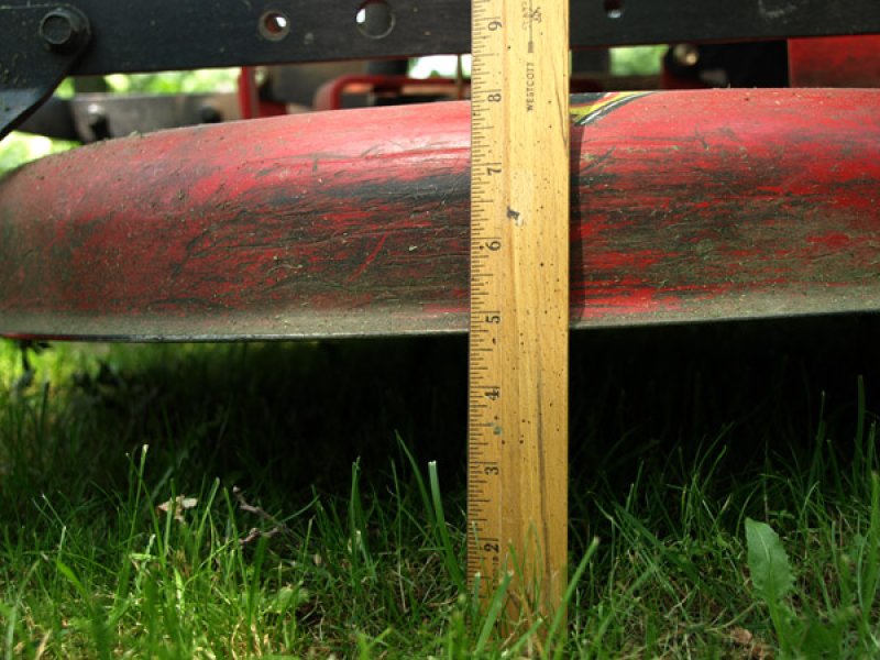 Raise your mower blade to its highest setting