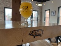 Six Months In, Speckled Pig Brewing Company is Thriving in Ballston Spa