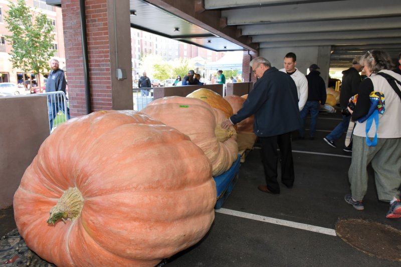 Parking their pumpkins, Sept. 24, 2022 at the 7th Annual Saratoga Giant PumpkinFest. 