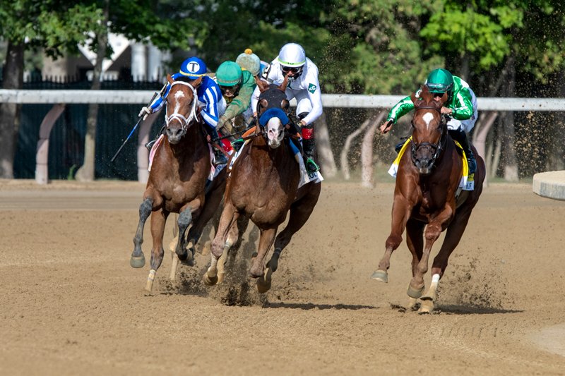 The Whitney stakes 2020. Photo by Elsa Lorieul, courtesy of NYRA.