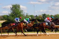 News & Notes: Week 8 Events At Saratoga Race Course