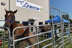 Pickleball Tournament Raises Funds for Disabled Jockeys and Retired Racehorses