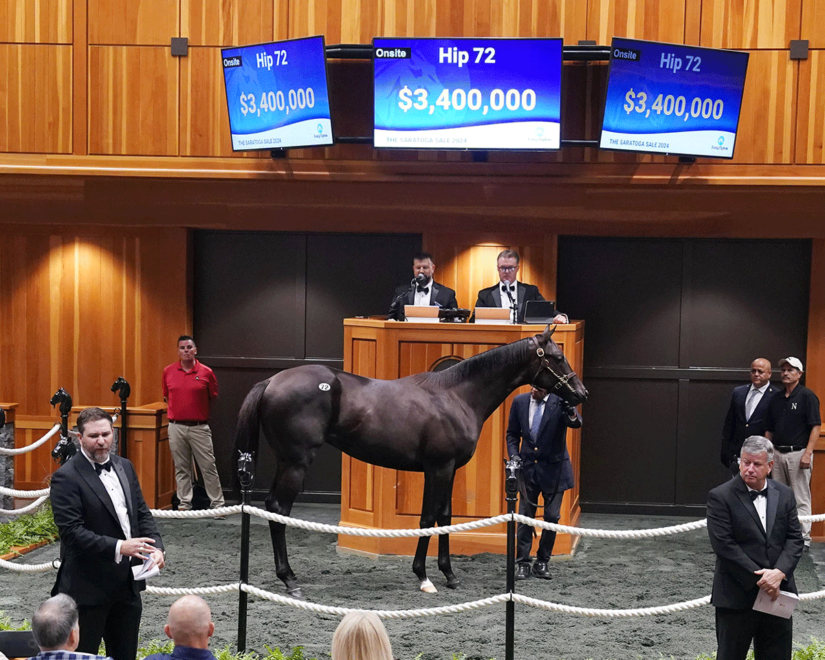 103rd Fasig-TiptonSaratoga auction breaks records