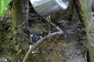 Gardening with Peter Bowden: Wise watering