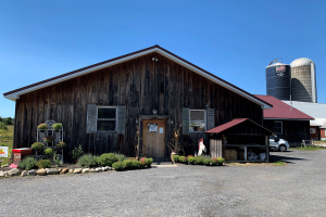 Raw Milk Drives Ballston Farm’s Success