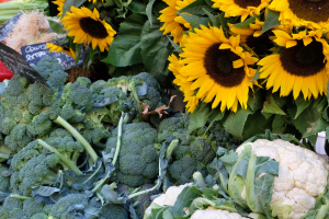 Autumn  at the Market