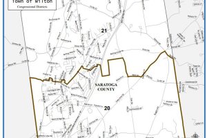 Guide for Saratoga County Voters:New Geographical Lines This Year for Congressional Districts 20, 21