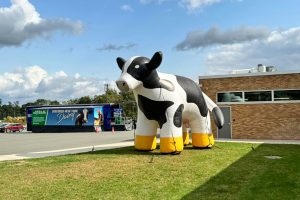 Mobile Dairy Experience, Giant Inflatable Cow Come to Schuylerville