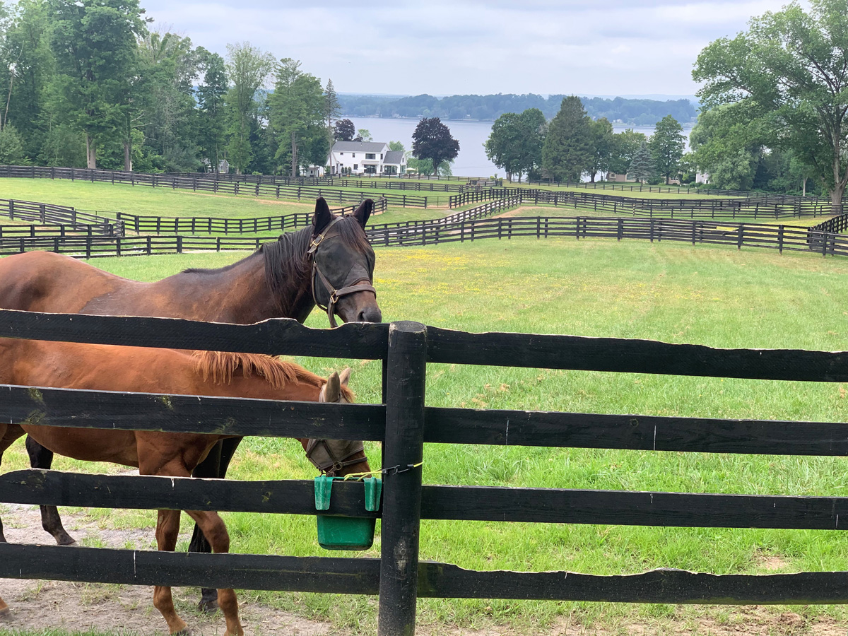 Unmasking the Magic Behind Voice Actors: The Inner Workings of the Industry