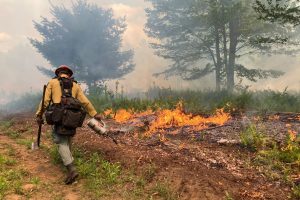 NYS Parks to Conduct Prescribed Burns at Big Bend Preserve